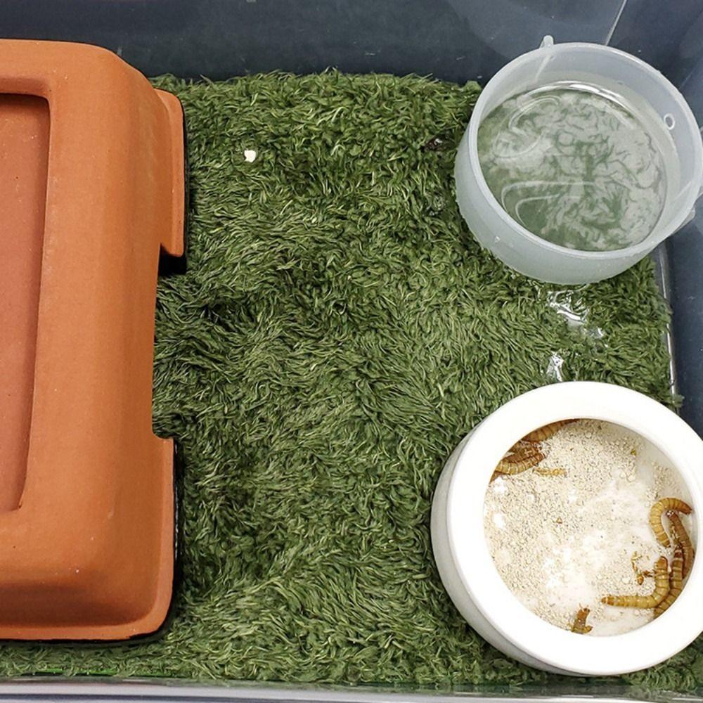 Simulation Frog Tortoise Mat Green Artificial Grass Mat Reptile Carpet  Reptile Box Decorate