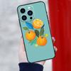 Summer Fruit Orange Phone Case For iPhone 16 Pro Max 13 12 Mini 11 14 Pro Max XR 16 Plus 16e 15 Pro Back Cover