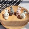 Resin Fluffy Cute Abashed Rabbit Keychains Phone Lanyard For Friend Gift Lovely Bunny Animal Pet Pendant Bag Earphone Case Chain