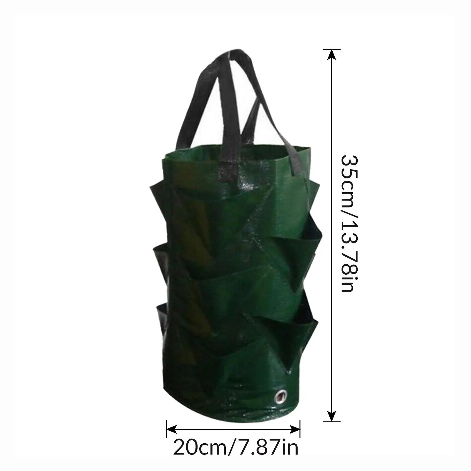 

3 Галлона ПЭ Клубничный Посадочный Мешок Горшок для Картофеля Садовые Горшки Домашний Сад Цветок Овощ Помидор Инструменты для Посадки Контейнер 3 Gallon-1PC зелёный