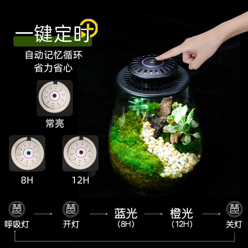 D2 Miniaturgarten Glaspflanzen-Terrarium mit Wachstumslampe Sukkulenten Moos Landschaft Glas-Terrarium Gartengeschenk für Pflanzenliebhaber