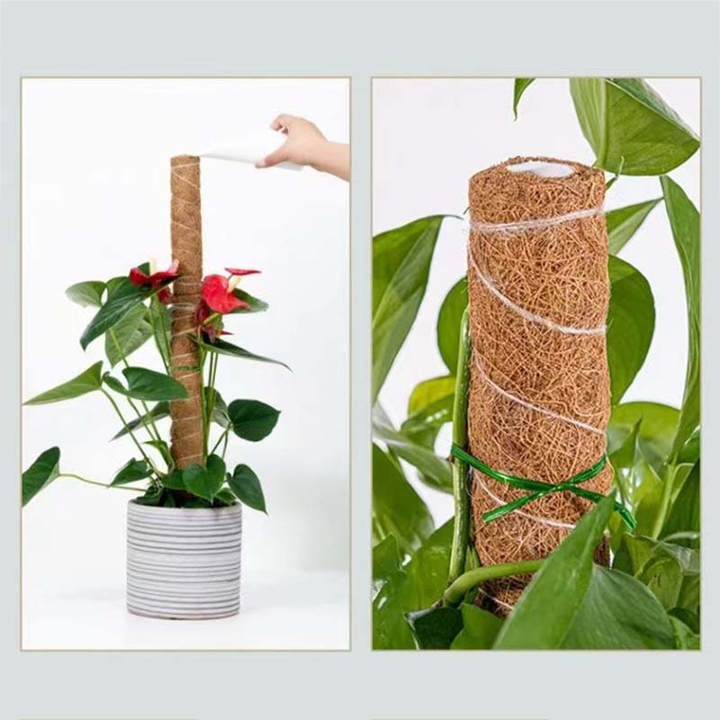 Plant Climbing Trellis Support Stakes Climbing Plant Support Stick Gardening Support Frame Flower Stand
