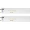 F15T8 18 Inch 15W T8 Fluorescent Vervangingsbuis Lamp Daglicht 6500K Middel Dubbele Pin G13 Sokkel, 2 Stuks minder