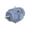 Yuzhuxun YE4 Series High-Efficiency Motor