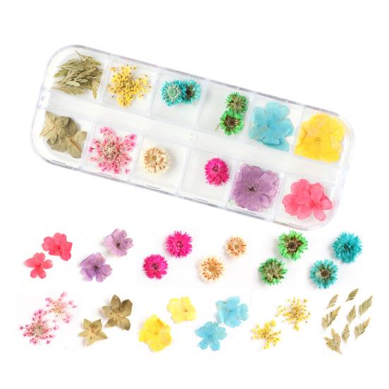 Nail Art Trockenblumen Einzigartige exquisite konservierte Nagelaufkleber aus Kunststoff für Nagelstudios