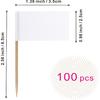 Blank Toothpick Flag Small Mini Labeling Marking DIY Stick Flags for Cocktail Fruit Cupcakes Toppers Food Decorations,100 Pack(White)