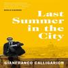 Last Summer In the City by Gianfranco Calligarich Hardback Book 9781529042269
