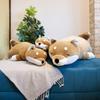 Livheart Premium Sleepy Animals Body Kotaro the Shiba Medium Fluffy and Squishy Plush Gift Pillow, Inu, Size, Toy, 48769-44