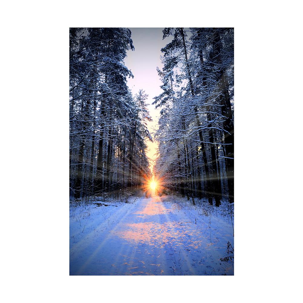 Plakat Świąteczny Scena Śnieżna Rekwizyty Tła Festiwalowego do Dekoracji Domu, Imprez, Studia, Uroczystości Plenerowych, Ślubu