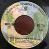 7inch Record NAPOLEON XIV  Theyre Coming To Take Me Away Ha WB7726 Warner Bros. Re 1973 US Pop Used