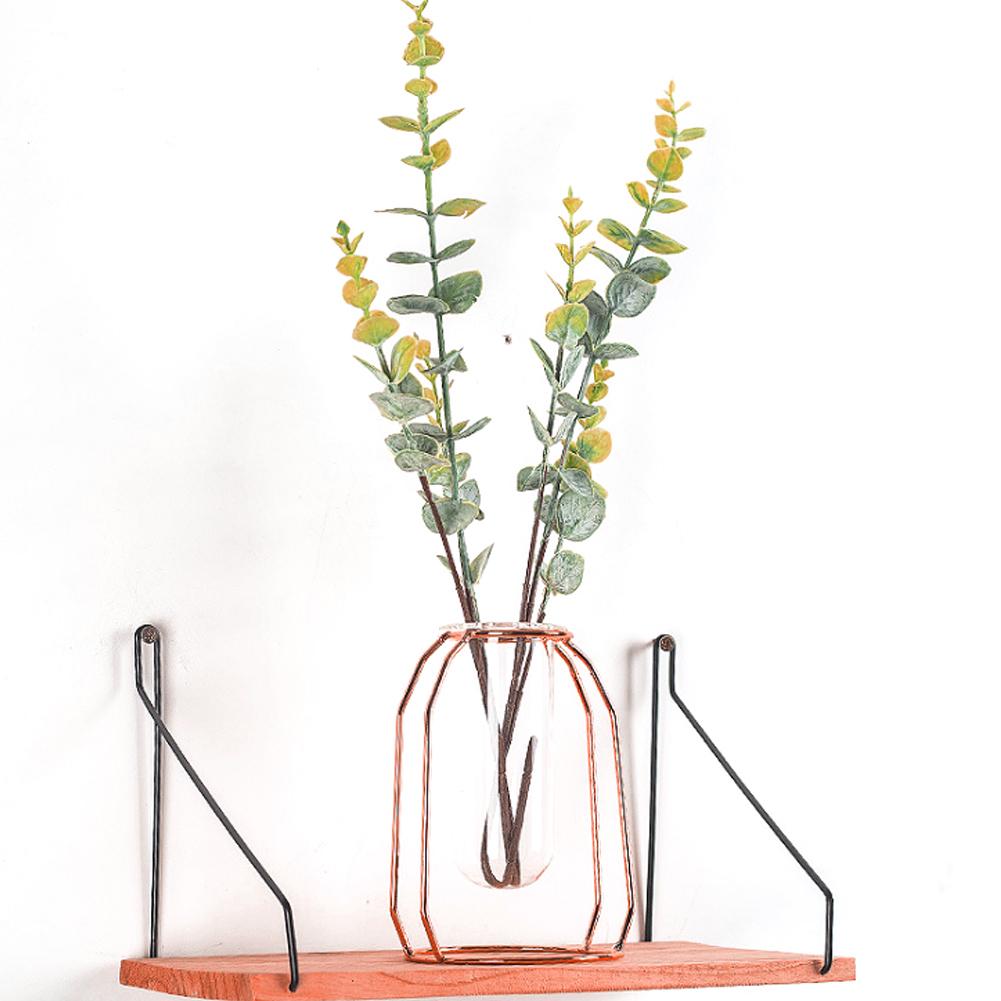 Transparent Hydroponic Plant Vases Flower Pot Tabletop Home Decorations