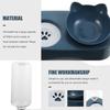 Automatic Water Dispensing Cat Dog Feeder Pet Feeding Bowl 27x15x24cm Blue Designed For Home Use 2 Sets