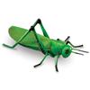 Learning Resources Insect Figure Toy for Toddlers LER0789 Authentic