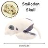 Fuzzy Fossils Plush Riceratops Skull Dinosaur Skull Plush Doll Pillow