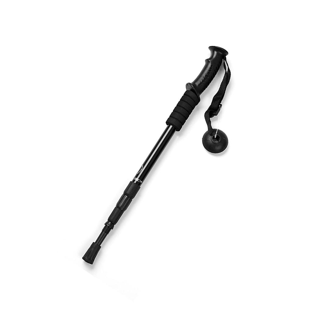 Hiking Poles 4 Sections High Strength Straight Shank Skidproof Handle Light Weight Walking Sticks for Camping Climbing