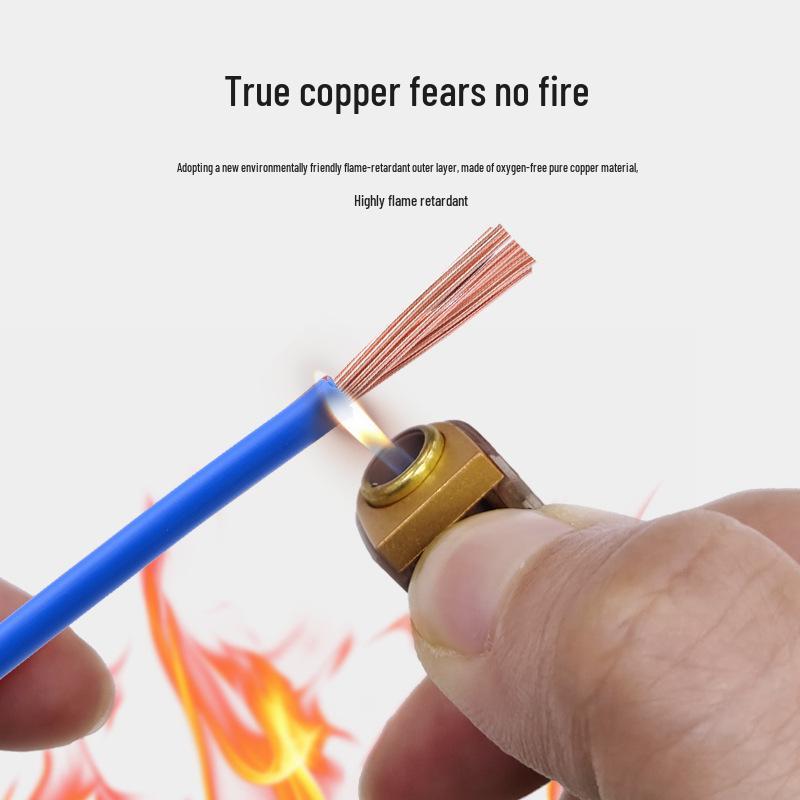 Nanyou BVR Pure Copper Flame Retardant Multi-Strand Soft Wire 1.5/2.5/4/6mm² for Home Decoration
