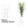 Air Plant Rack Metal Holder Chic Design Decorative Stand for Table Balcony Variety Plant Display Stand Garden