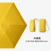 Card umbrella Titanium vinyl sunscreen parasol Small female sun umbrella Mini high-value oil painting pocket six-fold umbrella