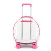 Cage de transport transparente pour animaux de compagnie avec roues, transparente, roulante, construction robuste, bagage pour chats, petits animaux