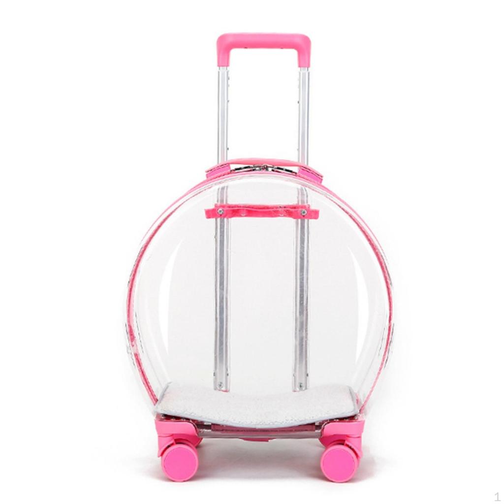 Cage de transport transparente pour animaux de compagnie avec roues, transparente, roulante, construction robuste, bagage pour chats, petits animaux