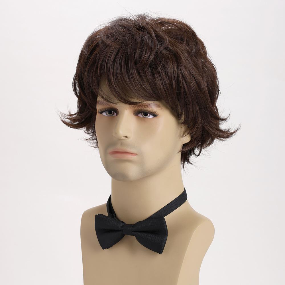 Men Short Layered Brown Hair with Bangs Synthetic Black Wigs for Male Daily Cosplay Party Heat Resistant Fibre