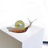 Cute Glass Snail Miniature Glaze Crafts Snail Ornaments Micro Landscape Snail Figurines  Home