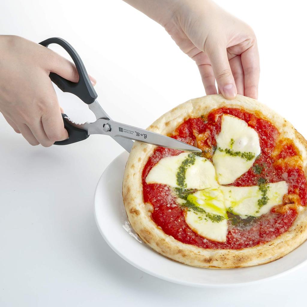 Takumi no Waza Stainless Steel Kitchen Long Scissors, Type, G-2033