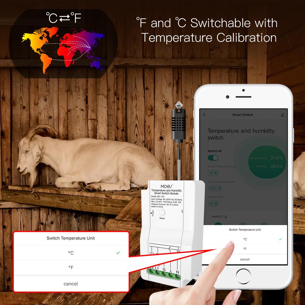 Graffiti WiFi Dual-Channel Temp & Humidity Switch with Timer & Alexa Support