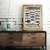 Vintage Breeds Of Fish Print Fishing Angling Freshwater Fish Poster Fisherman Gifts Lake House Wall Art Canvas Painting Decor
