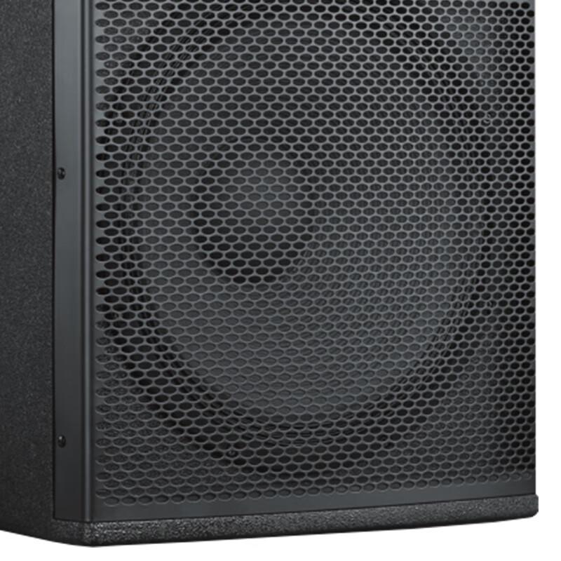 Runpu Professional Dual 10-inch Passive Conference Speaker (CN version)