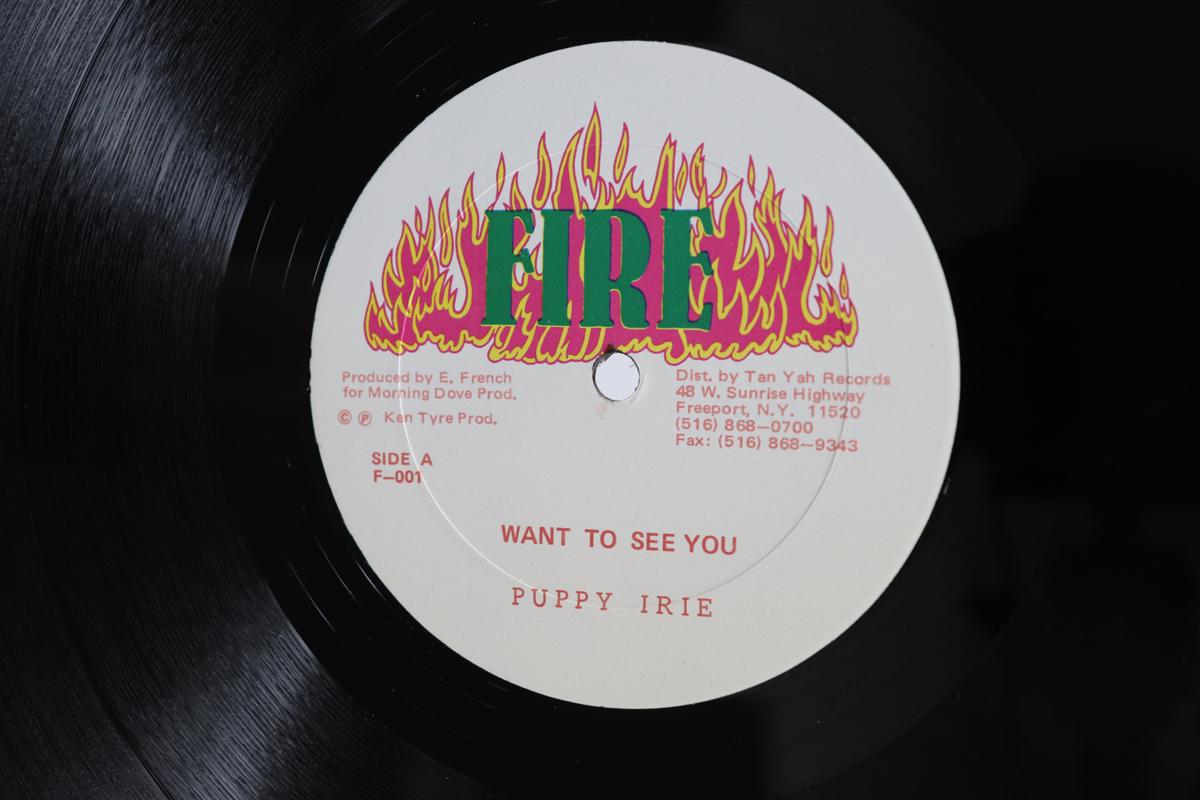 

12inch Record PUPPY IRIE CULTURE T Want To See You Sound Clash Board F001 FIRE US Reggae Ska Dub Used