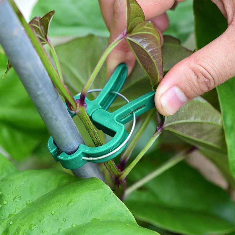 60/20pcs Plant Fixed Clips Reusable Garden Bracket for Tomato Cucumber Climbing Plants Vine Organizing Branch Support Clip Tools