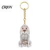 Pet Loss Sympathy Gift Hair Memorial Keychain, Dog Keepsake Holder, Transparent Jewelry Bottle Pendant, Portable Commemorative Charm for Keys