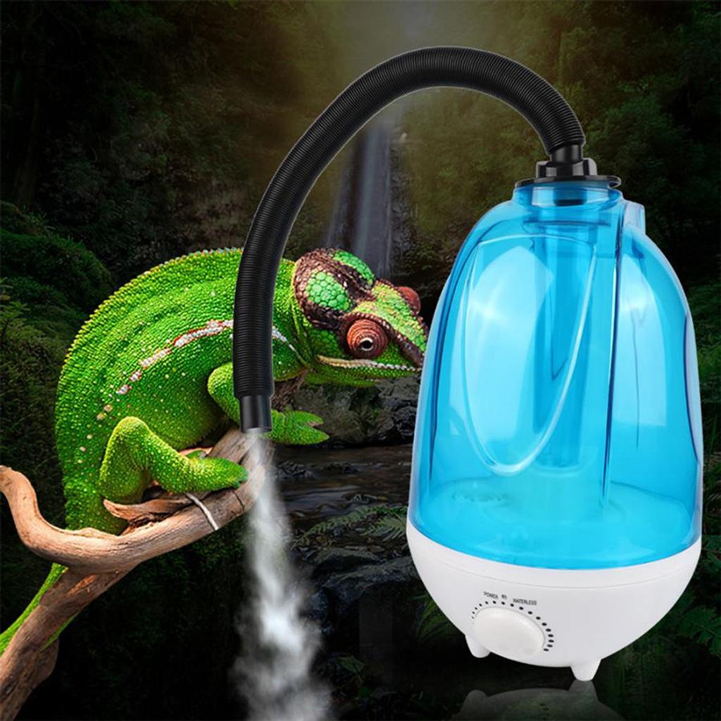 lizard humidifier