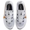 Nike LeBron TR 1 Wolf Grey/White/Bronze/Metallic Gold Men Sneakers FJ6151-006