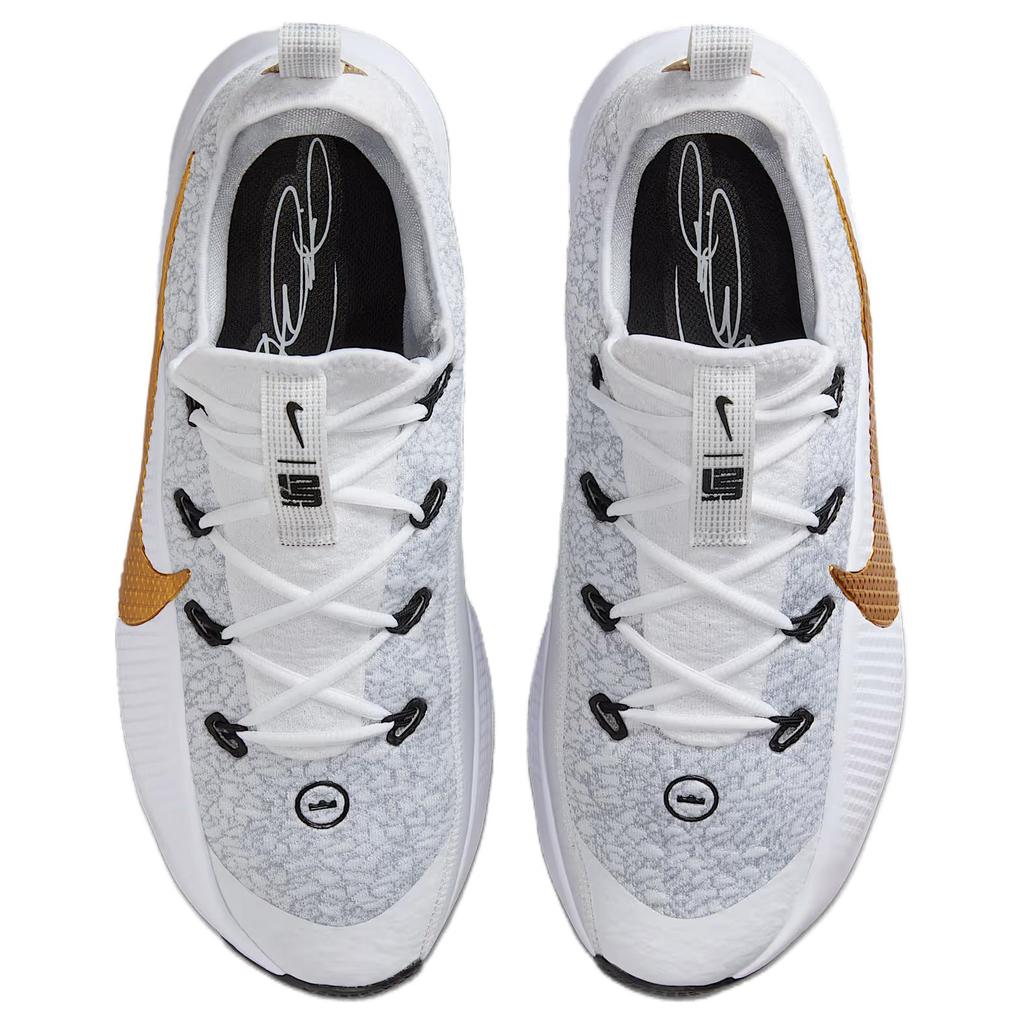 Nike LeBron TR 1 Wolf Grey/White/Bronze/Metallic Gold Men Sneakers FJ6151-006