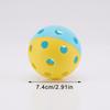 Pickleball Balls Two-Colors-Combined Indoor/Outdoor Training Pickleball Strong Flight Stability & Rebound Outdoor Sports Gear