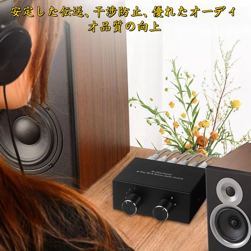 Audio 4 Outputs 4 Bidirectional RCA Stereo Audio No Power Supply Compatible with CD DVD Stereo Selector, Inputs/2 / Outputs/2 Inputs,