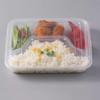 Transparent Disposable Multi-Compartment Takeaway Containers