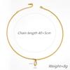 Light Luxury Fashion Zircon Necklace Personalized Design Titanium Steel Necklace Women Do Not Fade Versatile