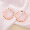 European and American exaggerated gradient retro INS style C-shaped resin hoop earrings, stainless steel hoop earrings