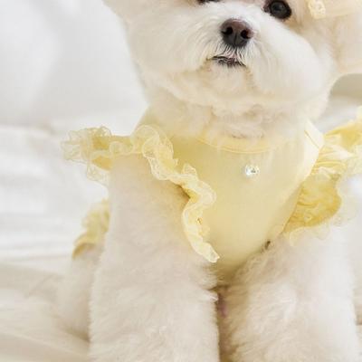 Bequemes Spitzen-Haustier-Sommerweste Flatterärmel Atmungsaktiv Hundekleidung Weiches Katzen-T-Shirt Frühling