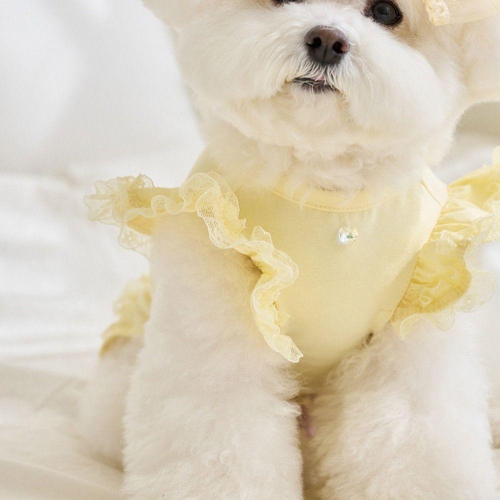 Soft Pet Summer Vest Lace Cat Base Skirt Comfortable Cat T-shirt  Autumn