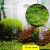 With Suction Cup Aquarium Fish Tank Feeder Set Transparent Shrimp Feeding Tube New Feeder Bowl