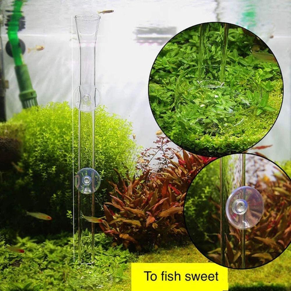 With Suction Cup Aquarium Fish Tank Feeder Set Transparent Shrimp Feeding Tube New Feeder Bowl