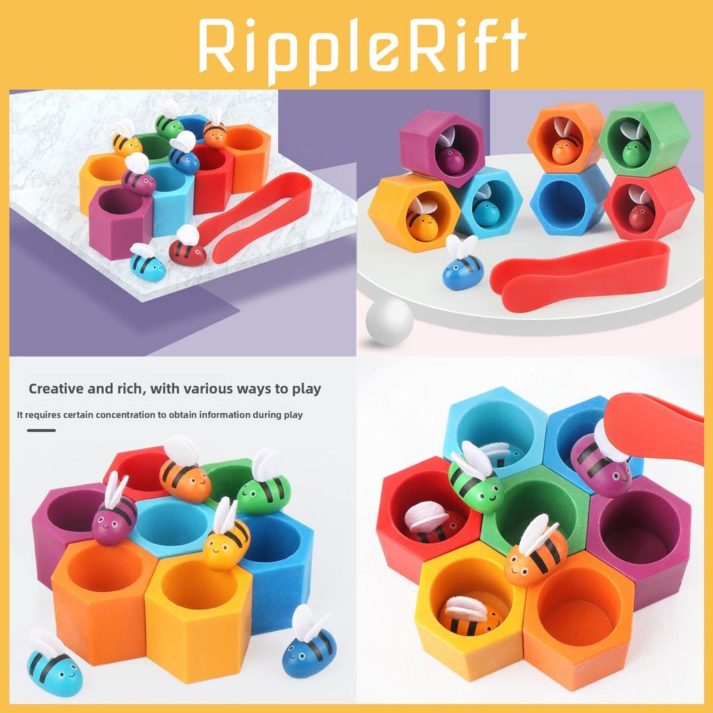 Peak Montessori Wooden Box Toys Educational Puzzle Toddlers Focus Color Sorting