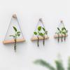 Elegant Wall Hanging Hydroponic Vase with Hemp Rope for Plants and Pothos
