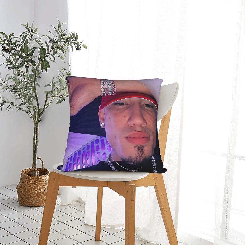 Omar Courtz Singer Pillowcases  Morden Pillow Case For Sofa Car Home Decor Comfy Pillow Cover