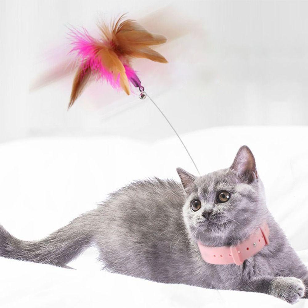 

Supplies Training Toys Pets Collar Feather Teaser Stick Playing Teaser Wand Interactive Cat Toy