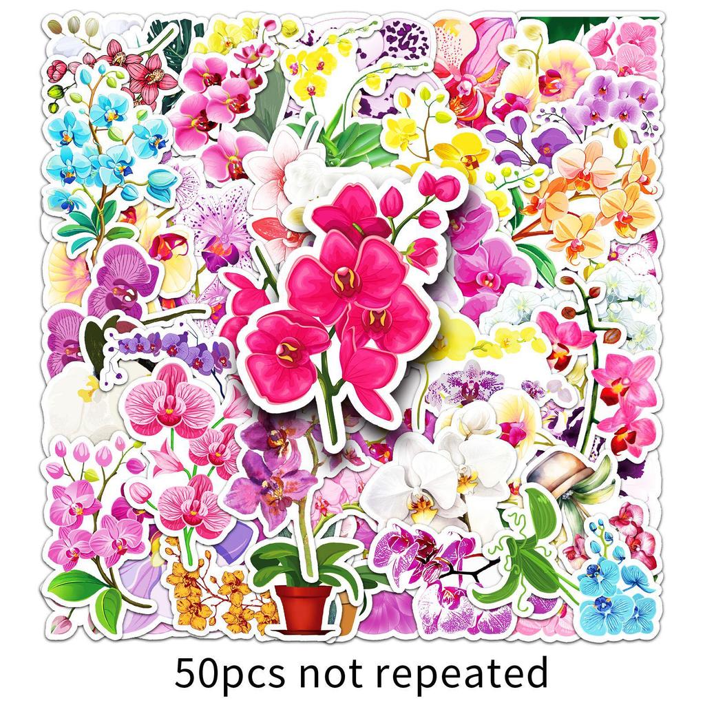 50 Orchid Stickers - Cute Q Version Plant Designs for DIY Crafts, Journals, and Computer Decoration